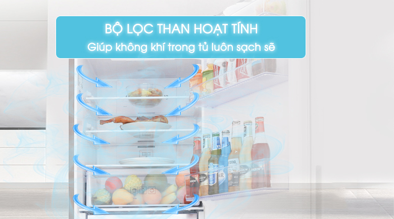 Bộ lọc than hoạt tính - Tủ lạnh Samsung Inverter 310 lít RB30N4010S8/SV Bộ lọc than hoạt tính - Tủ lạnh Samsung Inverter 310 lít RB30N4010S8/SV