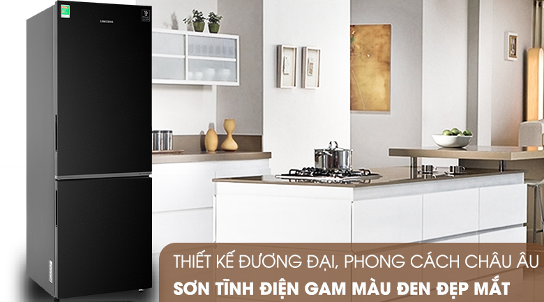 Tủ lạnh Samsung Inverter 310 lít RB30N4010BU Tủ lạnh Samsung Inverter 310 lít RB30N4010BU