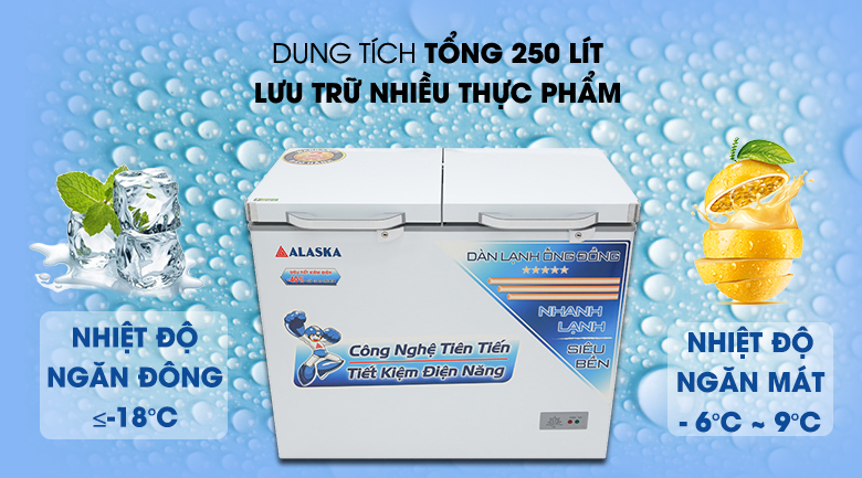 Tủ đông Alaska 250 lít BCD-3068C Tủ đông Alaska 250 lít BCD-3068C