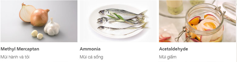 Tủ lạnh Hitachi Inverter 366 lít R-FVX480PGV9 (GBK) Tủ lạnh Hitachi Inverter 366 lít R-FVX480PGV9 (GBK)