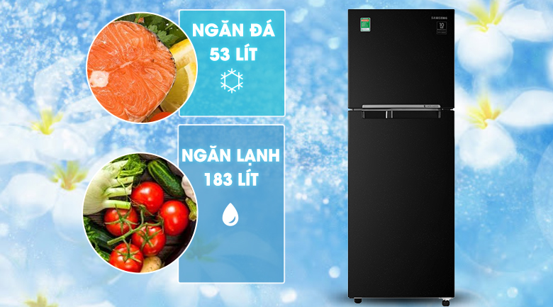 Tủ lạnh Samsung Inverter 236 lít RT22M4032BU Tủ lạnh Samsung Inverter 236 lít RT22M4032BU