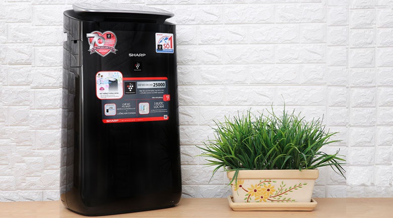 Máy lọc không khí Sharp FP-J80EV-H Máy lọc không khí Sharp FP-J80EV-H