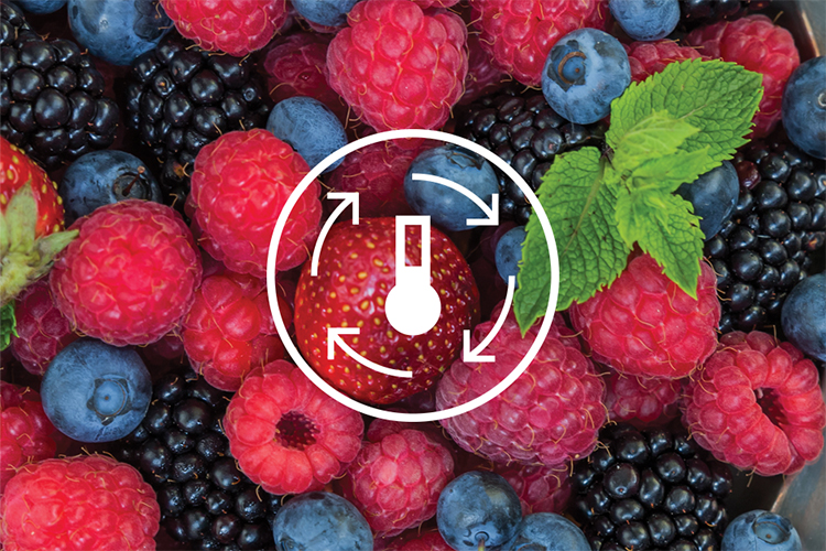 Tủ lạnh Electrolux Inverter 341 lít ETB3740K-A Tủ lạnh Electrolux Inverter 341 lít ETB3740K-A