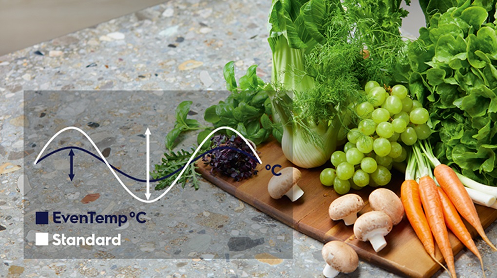 Tủ lạnh Electrolux Inverter 308 lít EBB3442K-H Tủ lạnh Electrolux Inverter 308 lít EBB3442K-H