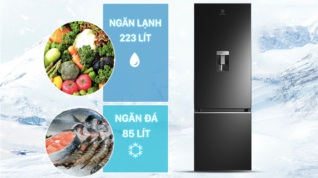 Tủ lạnh Electrolux Inverter 308 lít EBB3442K-H Tủ lạnh Electrolux Inverter 308 lít EBB3442K-H