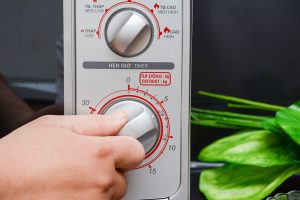 Lo Vi Song Sharp R 21a1svn 22 Lit