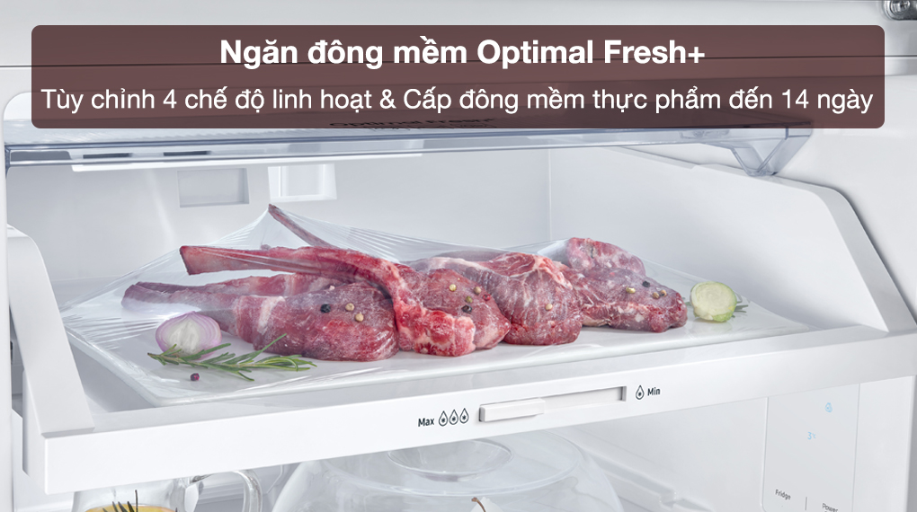 Tủ lạnh Samsung Inverter 305 lít RT31CG5424B1SV Tủ lạnh Samsung Inverter 305 lít RT31CG5424B1SV