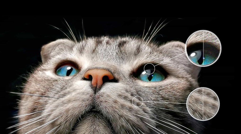 Google Tivi QLED TCL 4K 65 inch 65C69B Google Tivi QLED TCL 4K 65 inch 65C69B