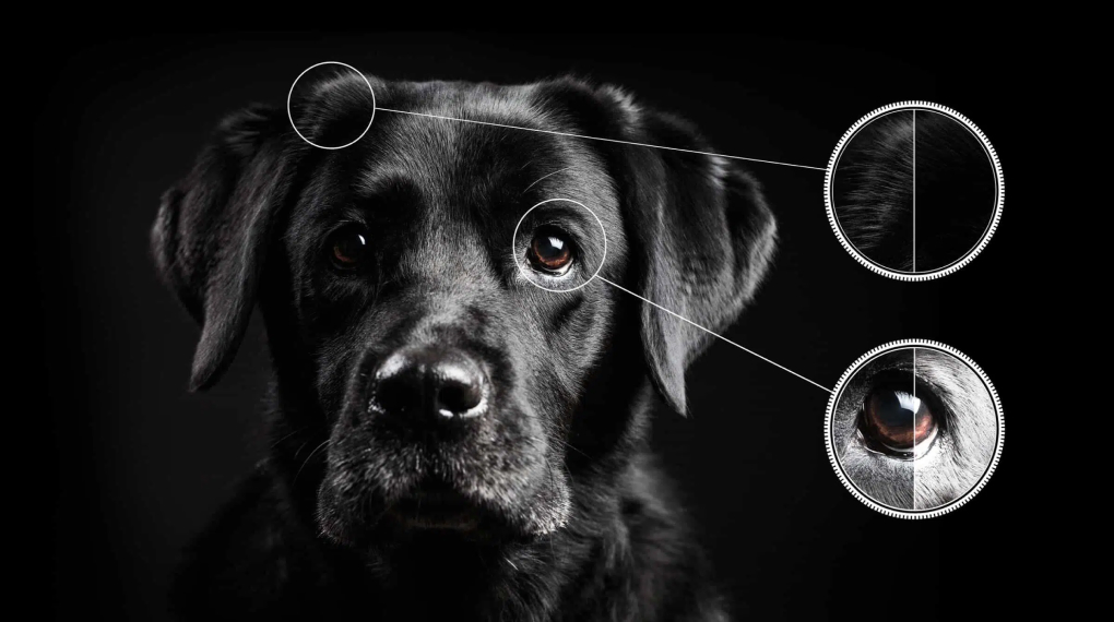 Google Tivi QLED TCL 4K 65 inch 65C745 Google Tivi QLED TCL 4K 65 inch 65C745