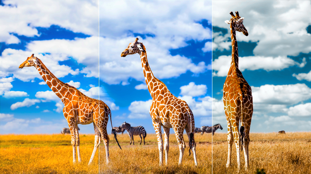 Google Tivi QLED TCL 4K 65 inch 65C745 Google Tivi QLED TCL 4K 65 inch 65C745