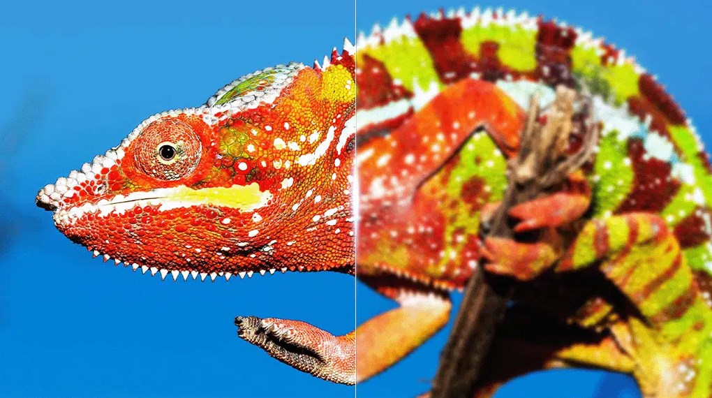 Google TV TCL 4K 55 inch 55P79B Pro Google TV TCL 4K 55 inch 55P79B Pro