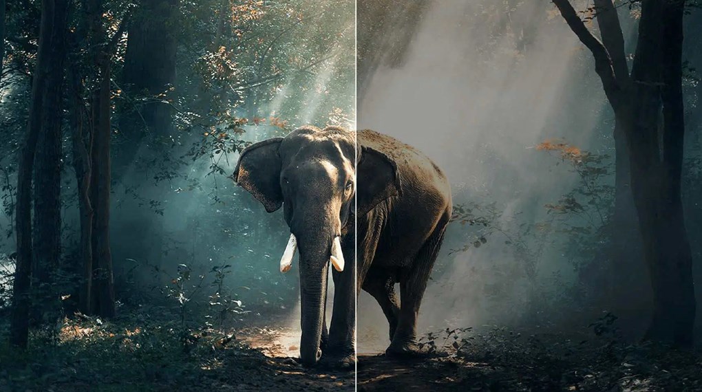 Google Tivi QLED TCL 4K 43 inch 43C69B Google Tivi QLED TCL 4K 43 inch 43C69B