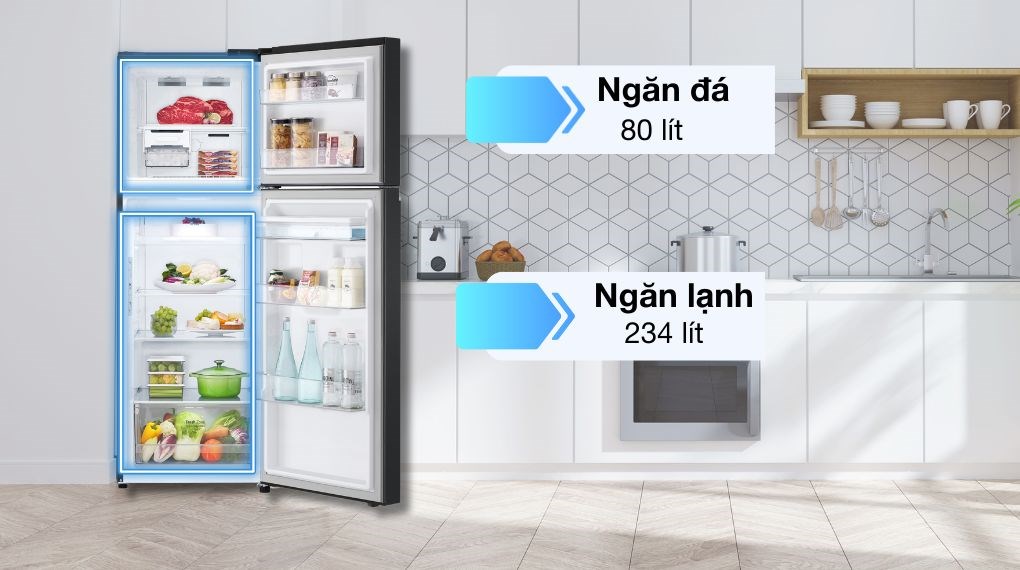 Tủ lạnh LG Inverter 314 lít LTD31BLM - Ngăn đá - ngăn lạnh Tủ lạnh LG Inverter 314 lít LTD31BLM - Ngăn đá - ngăn lạnh