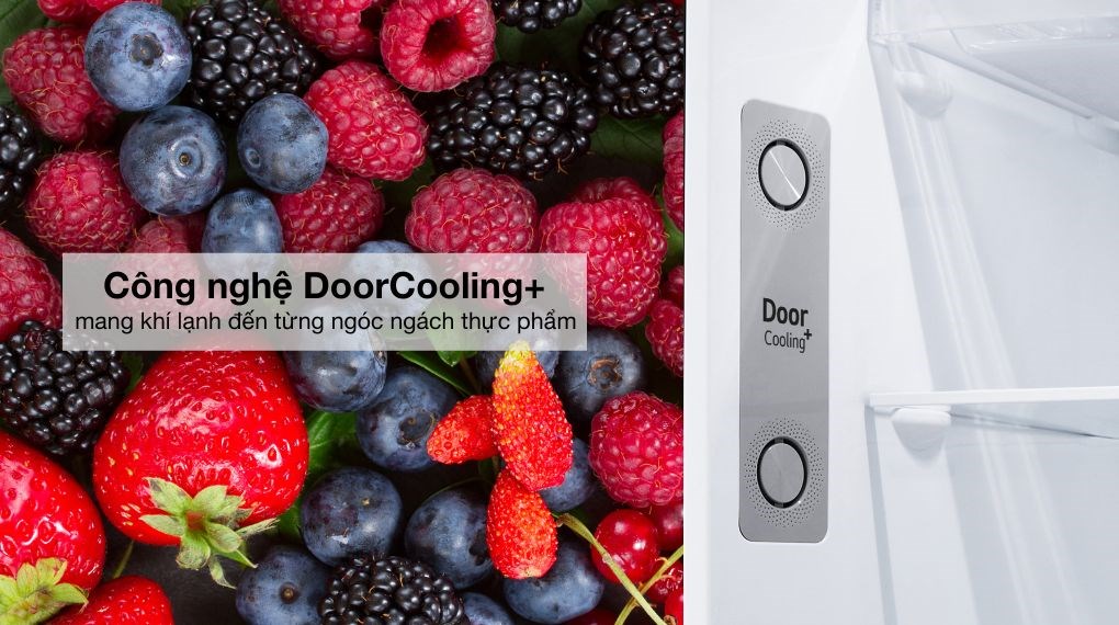 Tủ lạnh LG Inverter 314 lít LTD31BLM - Công nghệ làm lạnh Tủ lạnh LG Inverter 314 lít LTD31BLM - Công nghệ làm lạnh