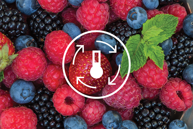 Tủ lạnh Electrolux Inverter 341 lít ETB3740M-H tiết kiệm điện