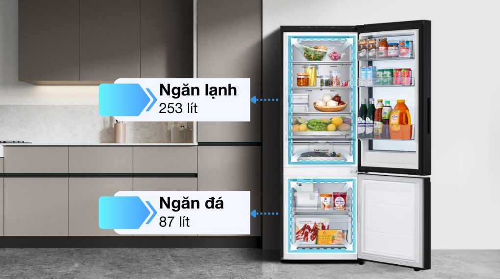 Tủ lạnh LG Inverter 340 lít InstaView LBB33BGMAI - Ngăn lạnh + Ngăn đá