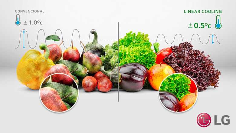 Tủ lạnh LG Inverter 461 lít LTB46BLG - Công nghệ LINEARCooling bảo quản thực phẩm luôn tươi ngon