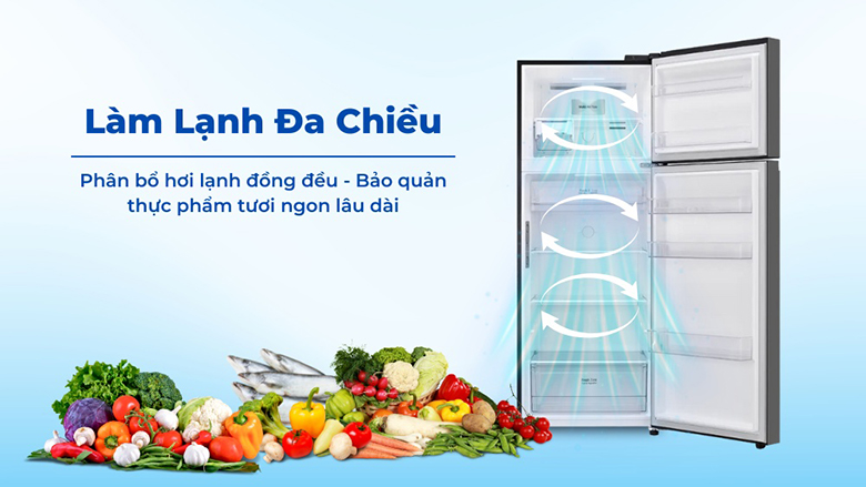 Tủ lạnh LG Inverter 461 lít LTB46BLG - Phân bổ hơi lạnh nhanh và đồng đều