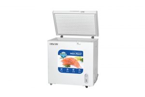 Tủ đông Hòa Phát 162 lít HCF 336S1N1