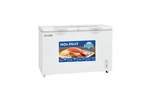 Tủ đông Hòa Phát 254 lít HCF 606S2N2