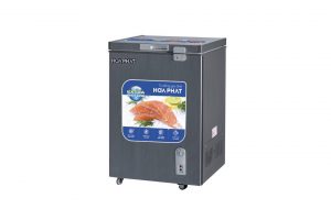 Tủ đông Hòa Phát 107 lít HCF 106S1ĐSH