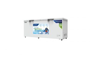 Tủ đông Hòa Phát Inverter 783 lít HPF AD8783
