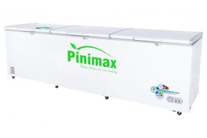 Tủ đông Pinimax 1100 lít PNM 119AF