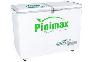 Tủ đông Pinimax 290 lít PNM 29AF3