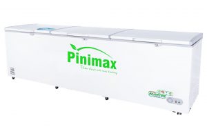 Tủ đông Pinimax Inverter 1100 lít PNM119AF3