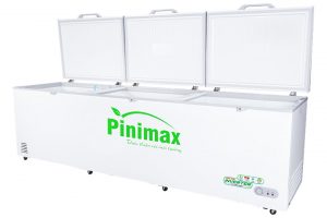 Tủ đông Pinimax Inverter 1100 lít PNM119AF3