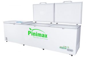 Tủ đông Pinimax Inverter 1100 lít PNM119AF3