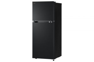 Tủ lạnh LG Inverter 217 lít LTB21BLMI