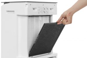 Máy hút ẩm Sharp DW-T30FV-W