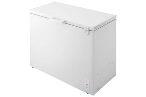 Tủ đông LG inverter 291 lít C30WH