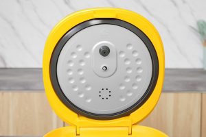 Nồi cơm điện tử Tefal 0.72 lít RK5352Y0