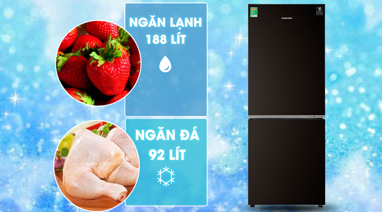 Tủ lạnh Samsung Inverter 280 lít RB27N4010BY/SV