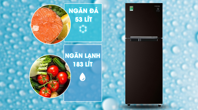 Tủ lạnh Samsung Inverter 236 lít RT22M4032BY