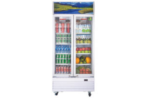 Tu Mat Inverter Sanaky 1000 Lit Vh 1209hp3