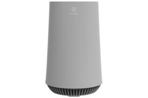 May Loc Khong Khi Electrolux Fa31 202gy