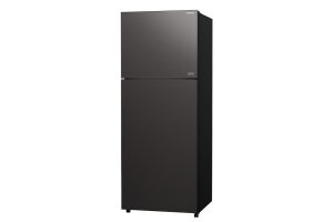 Tu Lanh Hitachi Inverter 390 Lit R Fvy510pgv0 Gmg