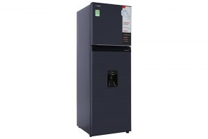 Tu Lanh Toshiba Inverter 249 Lit Gr Rt325we Pmv06 Mg