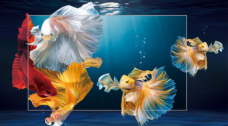 Android Tivi TCL 4K 43 inch 43P615