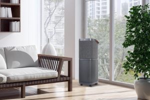 May Loc Khong Khi Electrolux Pa91 606dg 41w