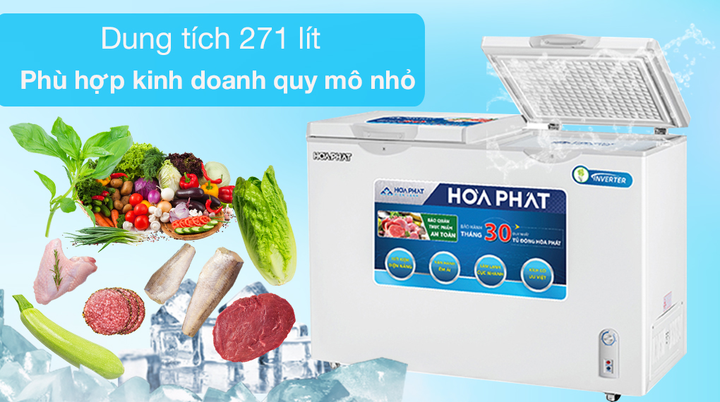 Tủ đông Hòa Phát 271 lít HCFI 656S2Đ2