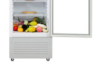 Tu Mat Hoa Phat 195 Lit Hsc 550f1r1