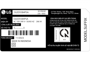 Smart Tivi OLED LG 4K 55 inch 55B4PSA