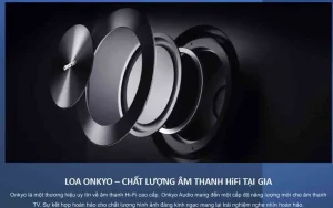 Google Tivi TCL QLED 4K 75 Inch 75C645