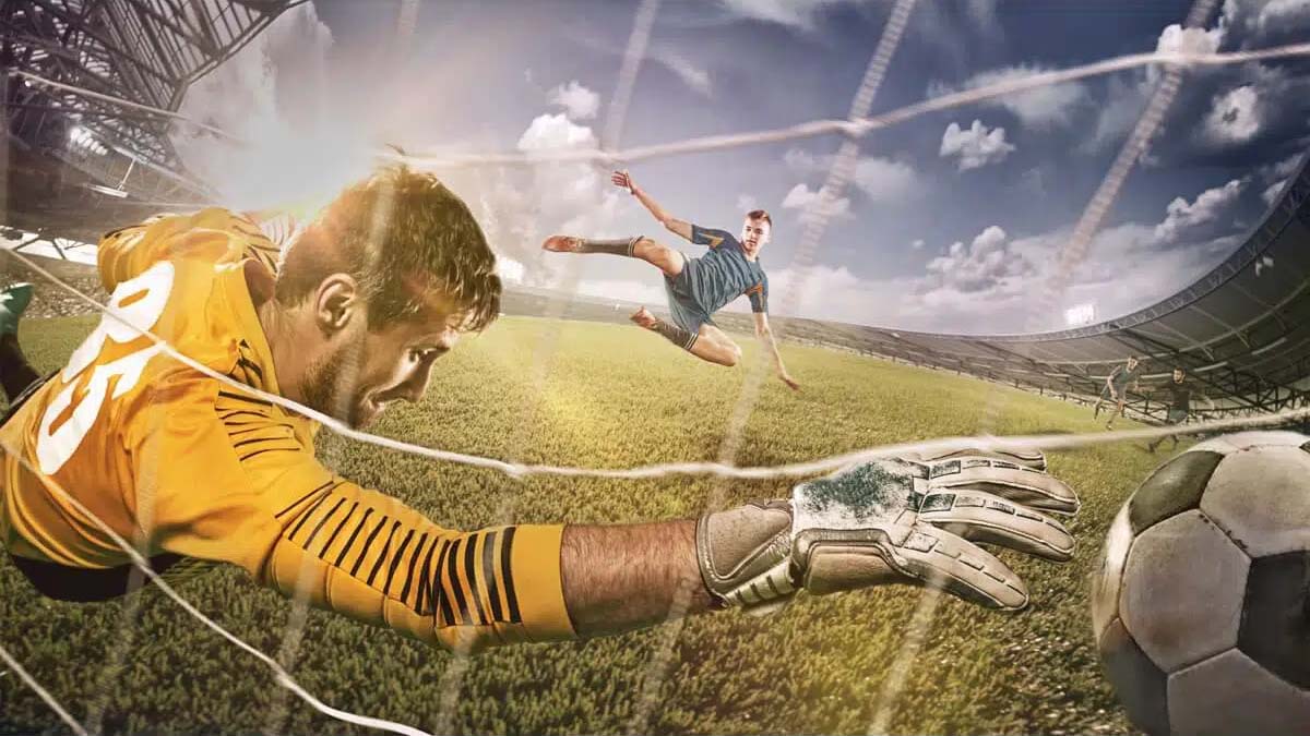 Hình ảnh khi xem thể thao