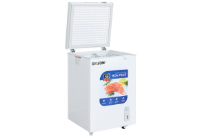 Tủ đông Hòa Phát 107 lít HPF AN6107