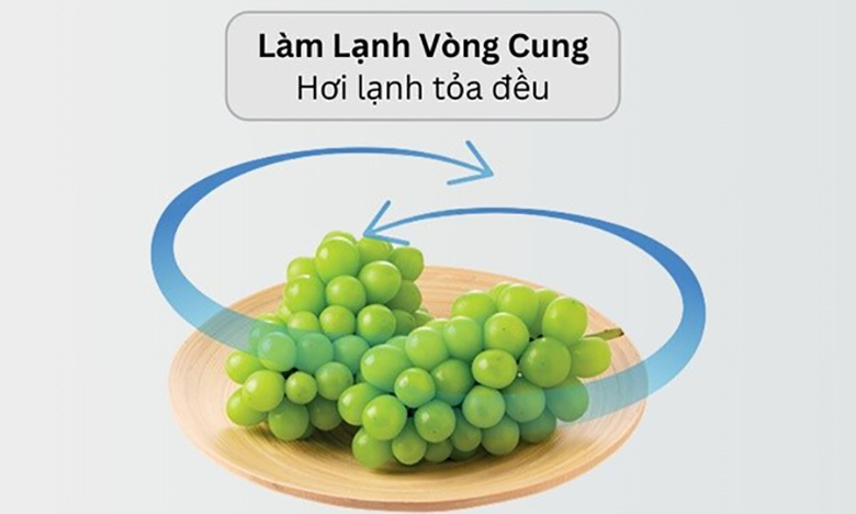 Tủ lạnh Hitachi Inverter 525 lít HRSN9552DWDXVN Side by Side - Làm lạnh nhanh và đồng đều 